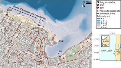 Composition of Seagrass Root Associated Bacterial Communities Are Linked to Nutrients and Heavy Metal Concentrations in an Anthropogenically Influenced Estuary